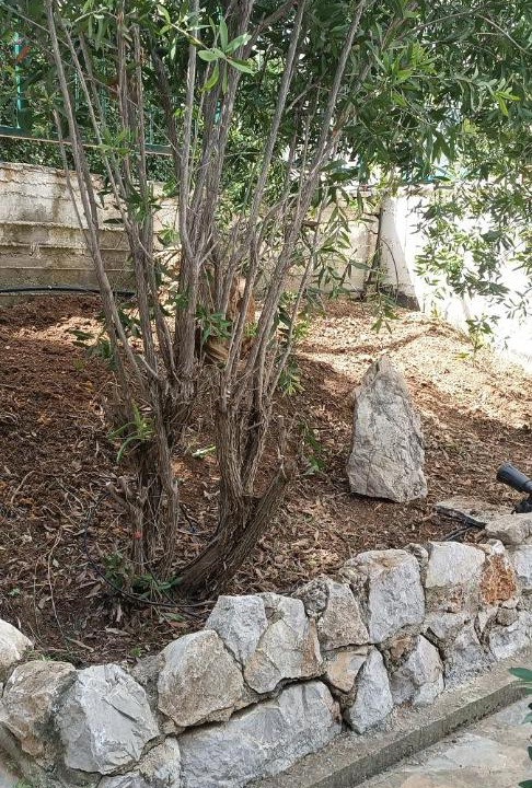 Photo of Outdoor in Agios Emilianos