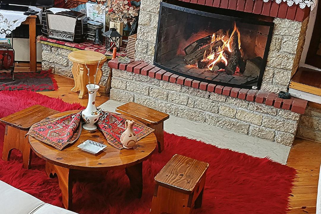 Photo of Livingroom in Vlataneoi