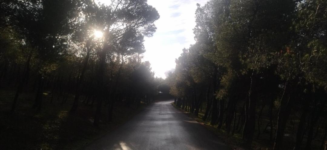 Photo of Others in Agios Constantios