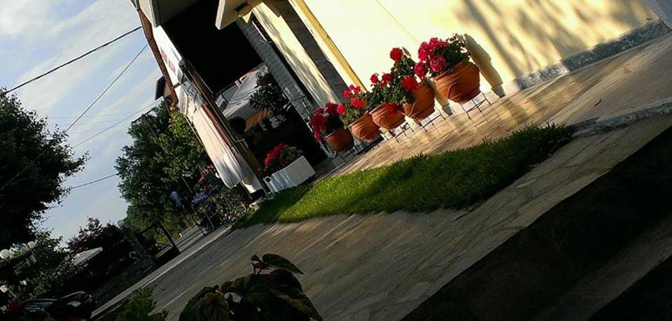 Photo of Others in Paralia Skotinis
