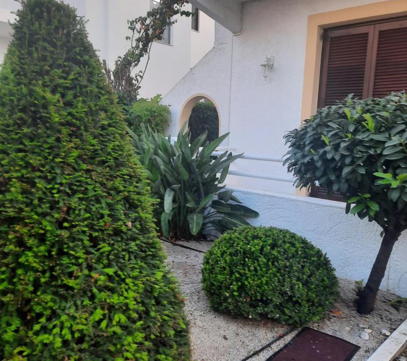 Photo of Others in Petaloudes