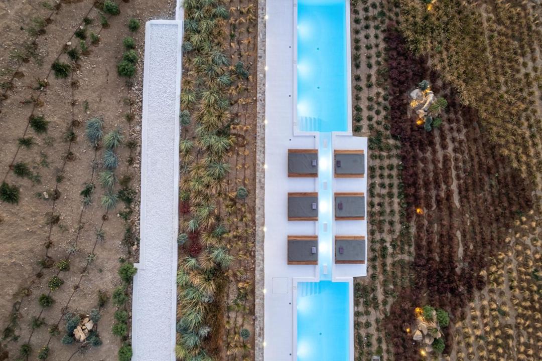 Photo of Others in Ftelia