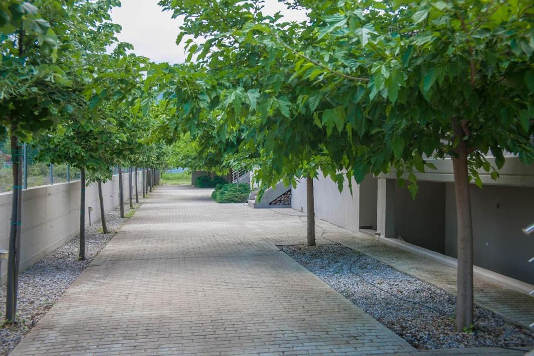 Photo of Others in Nei Pori