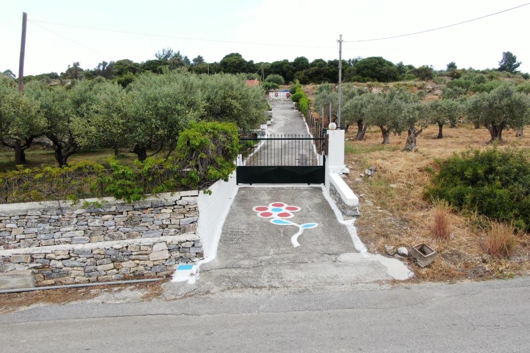 Photo of Others in Samos