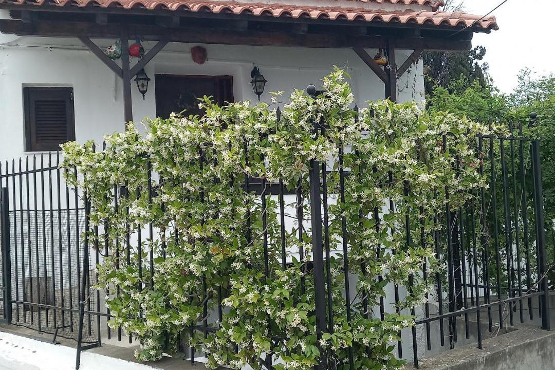 Photo of Others in Stagira-Akanthos