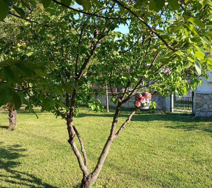 Photo of Others in Kallikratia
