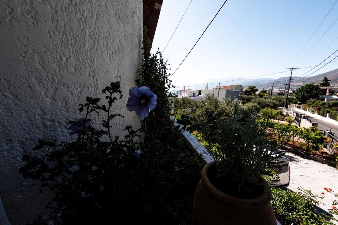 Photo of Others in Limenas Chersonisou