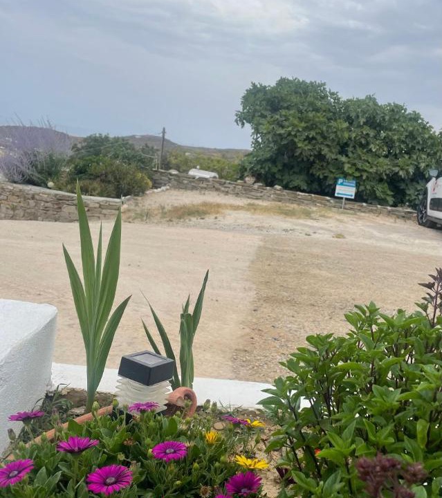 Photo of Others in Apollonia