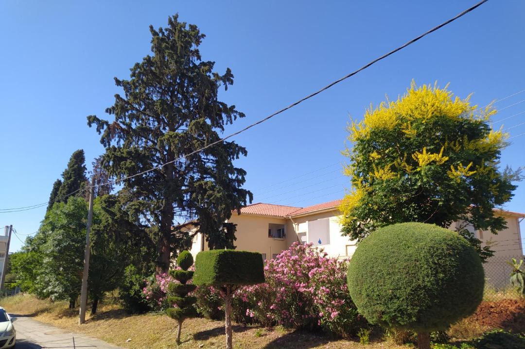 Photo of Others in Alexandroupoli
