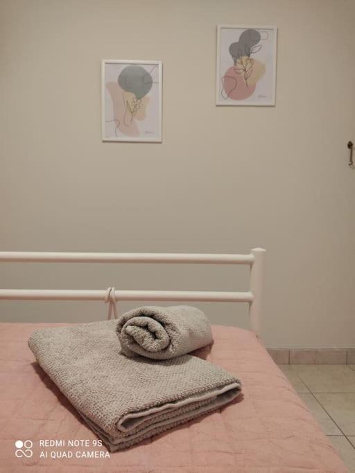 Photo of Others in Paralio Astros