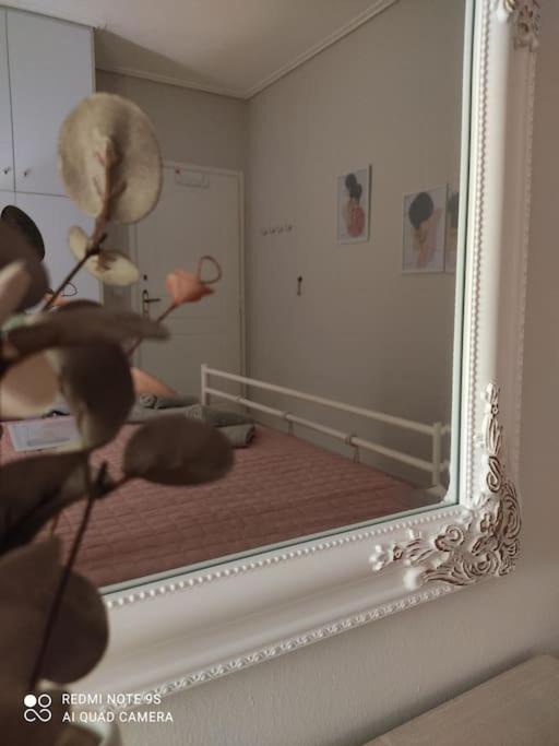 Photo of Others in Paralio Astros