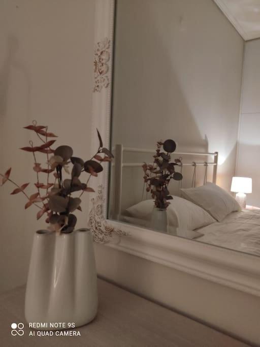 Photo of Others in Paralio Astros