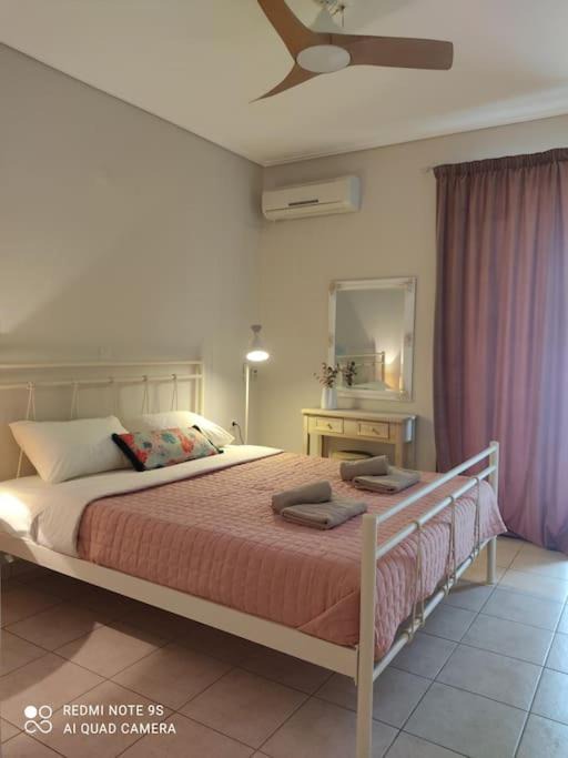 Photo of Others in Paralio Astros