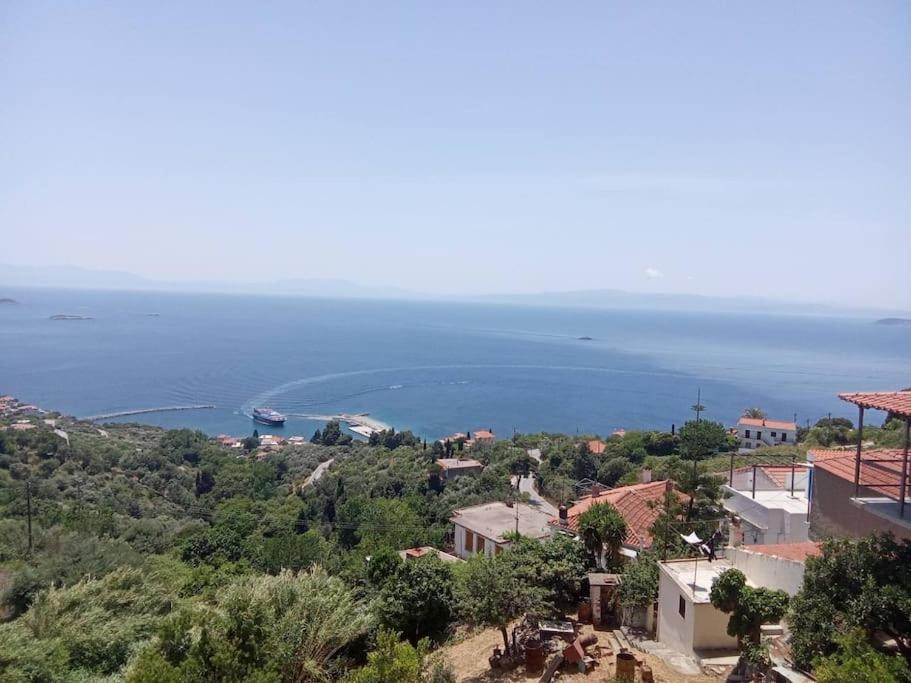 Photo of Others in Glossa