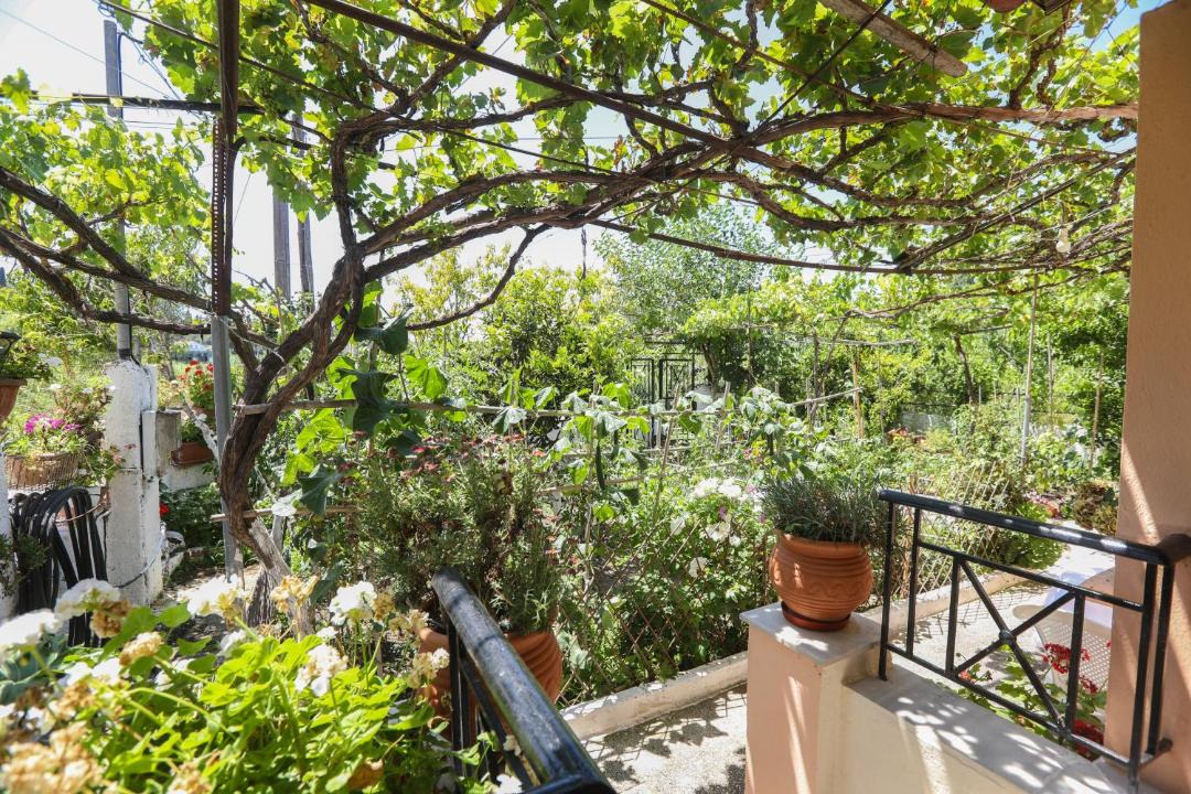 Photo of Patio Balcony in Perama