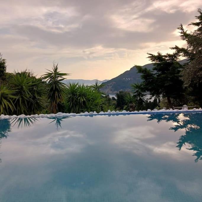 Photo of Others in Skopelos