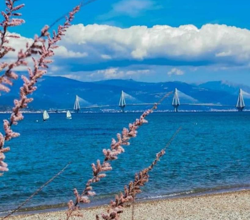 Photo of Others in Patras