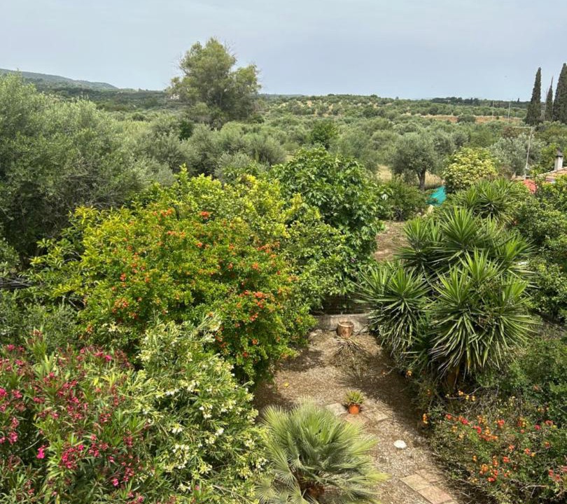Photo of Others in Messini