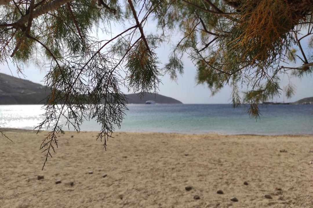 Photo of Others in Serifos