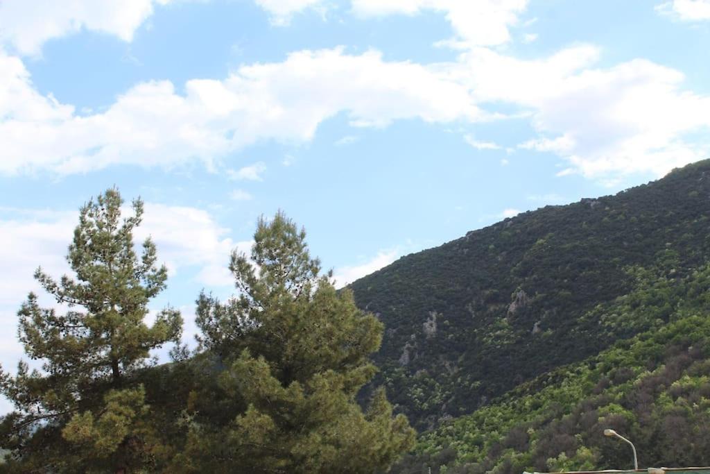 Photo of Others in Mavromati