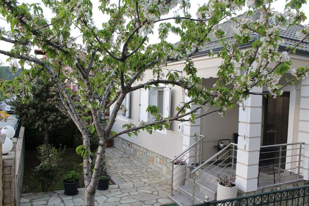 Photo of Others in Mavromati