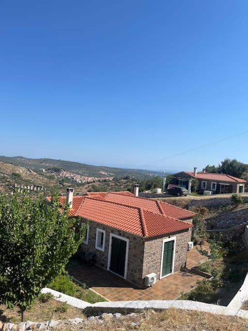 Photo of Others in Lesvos