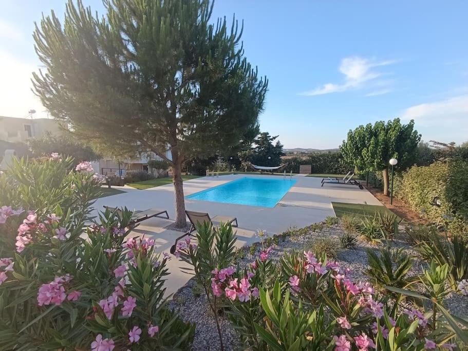 Photo of Outdoor in Markopoulon