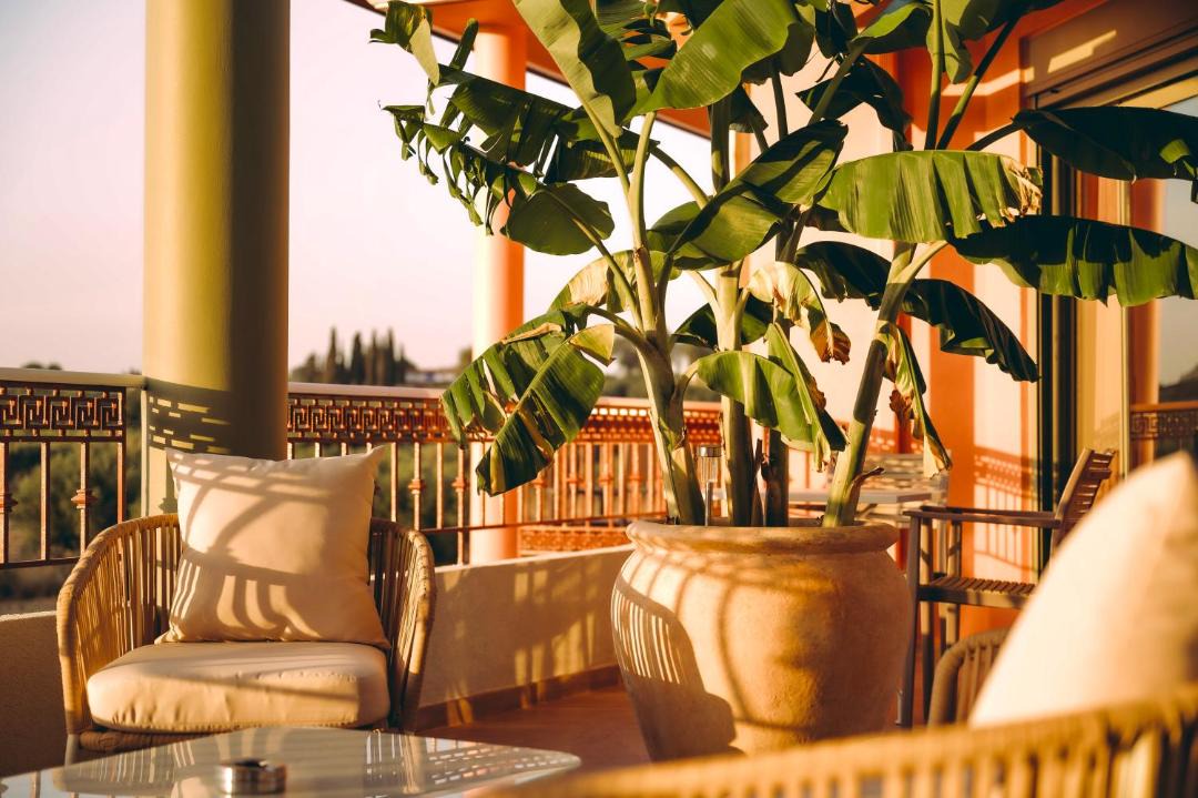 Photo of Patio Balcony in Skafidia