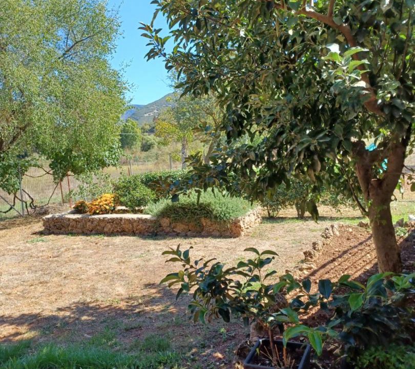 Photo of Others in Kalavrita