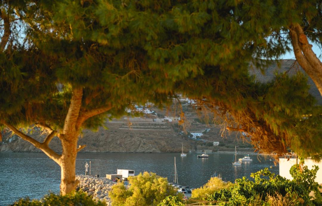 Photo of Others in Aegiali