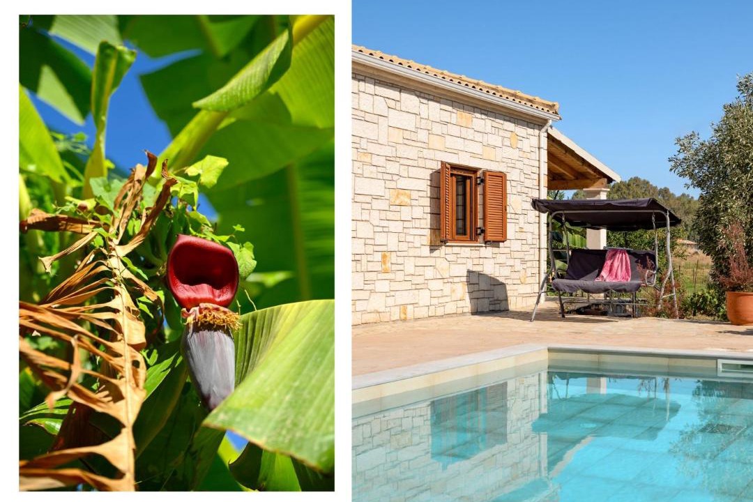 Photo of Others in Almiros Beach