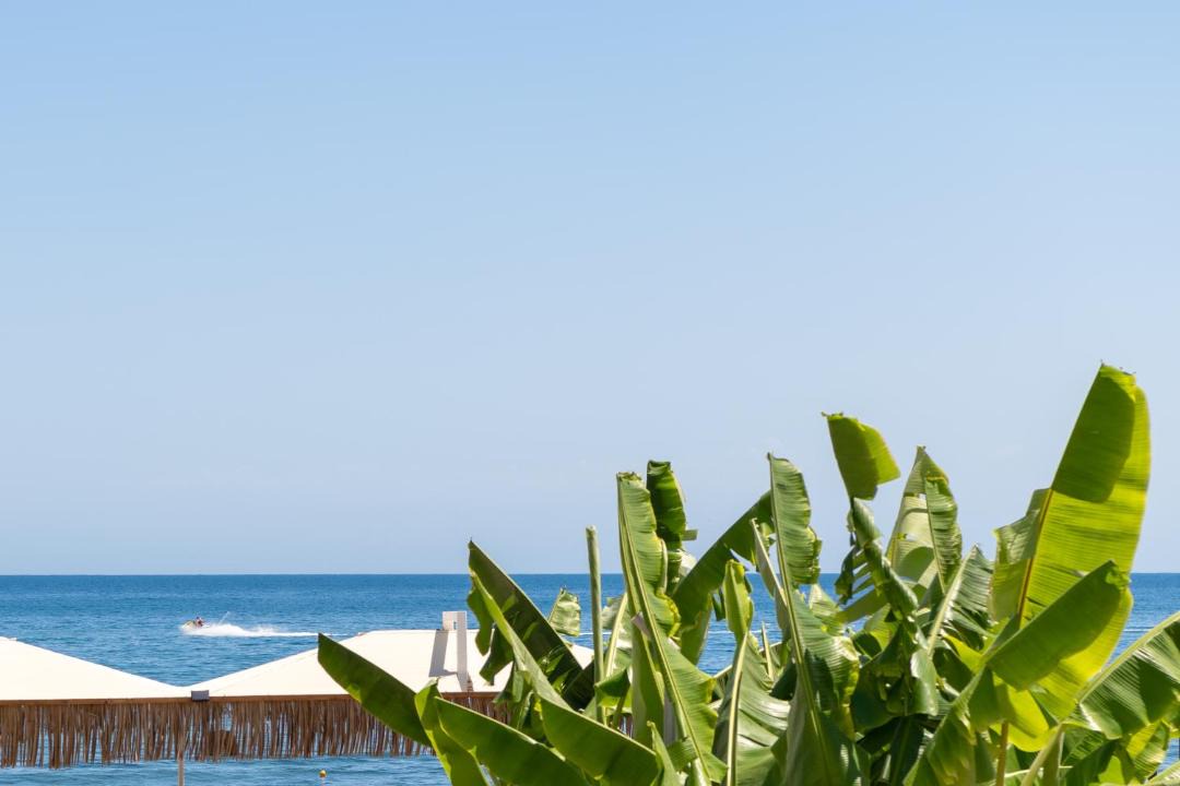 Photo of Others in Bali