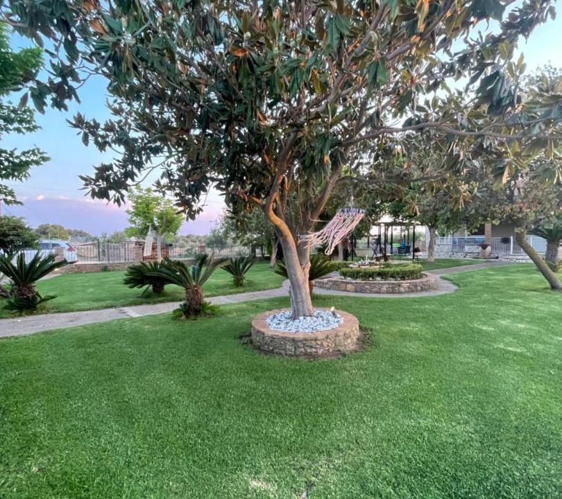 Photo of Outdoor in Skafidia