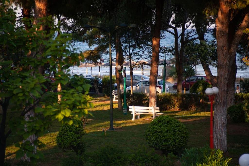 Photo of Others in Katerini