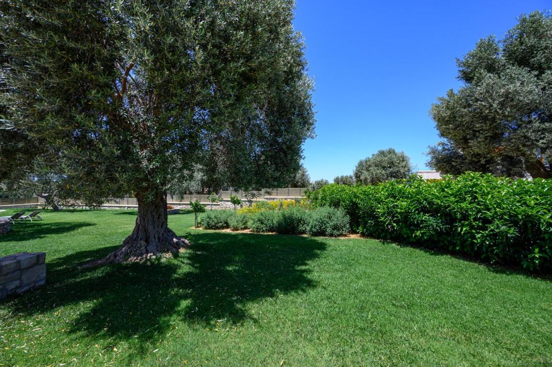 Photo of Outdoor in Prinos