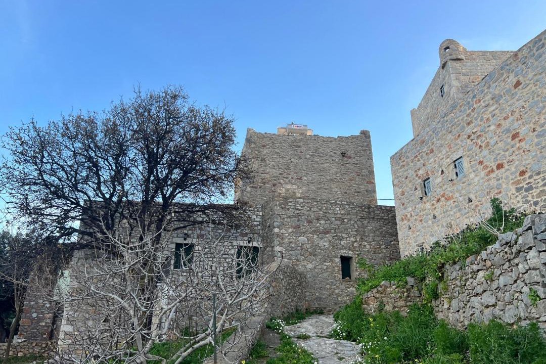 Photo of Others in Omales