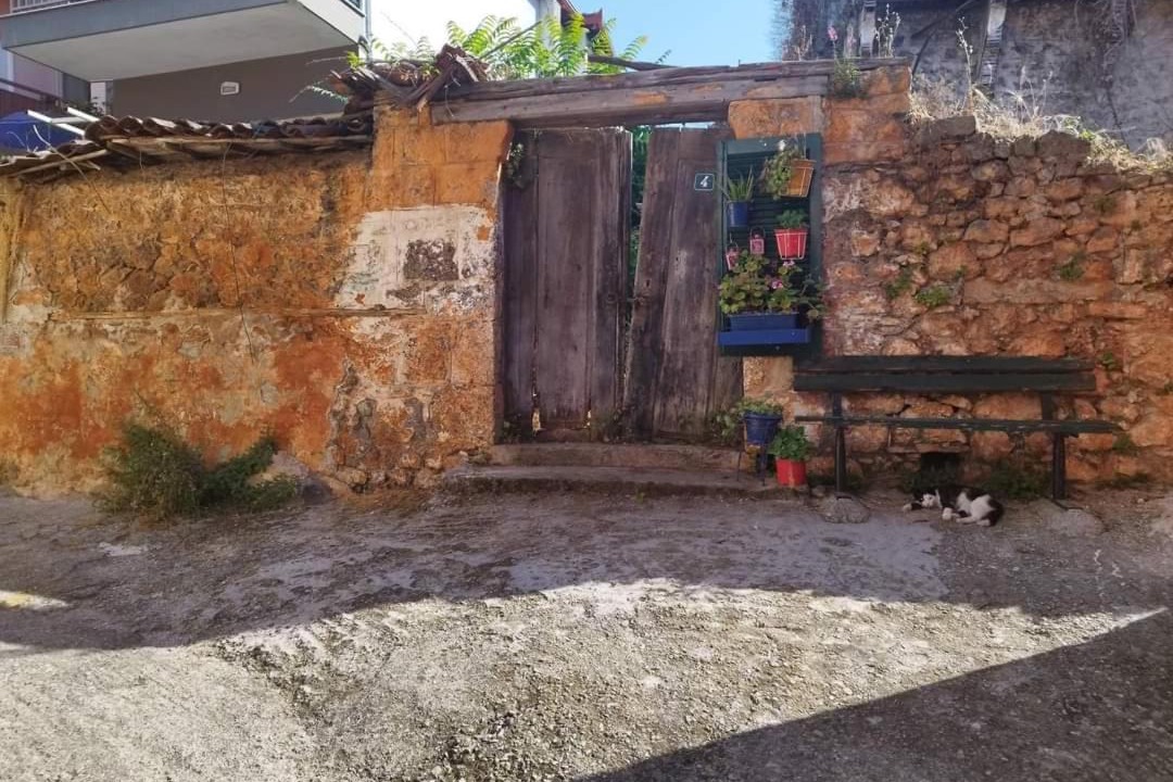 Photo of Others in Dio-Olympos