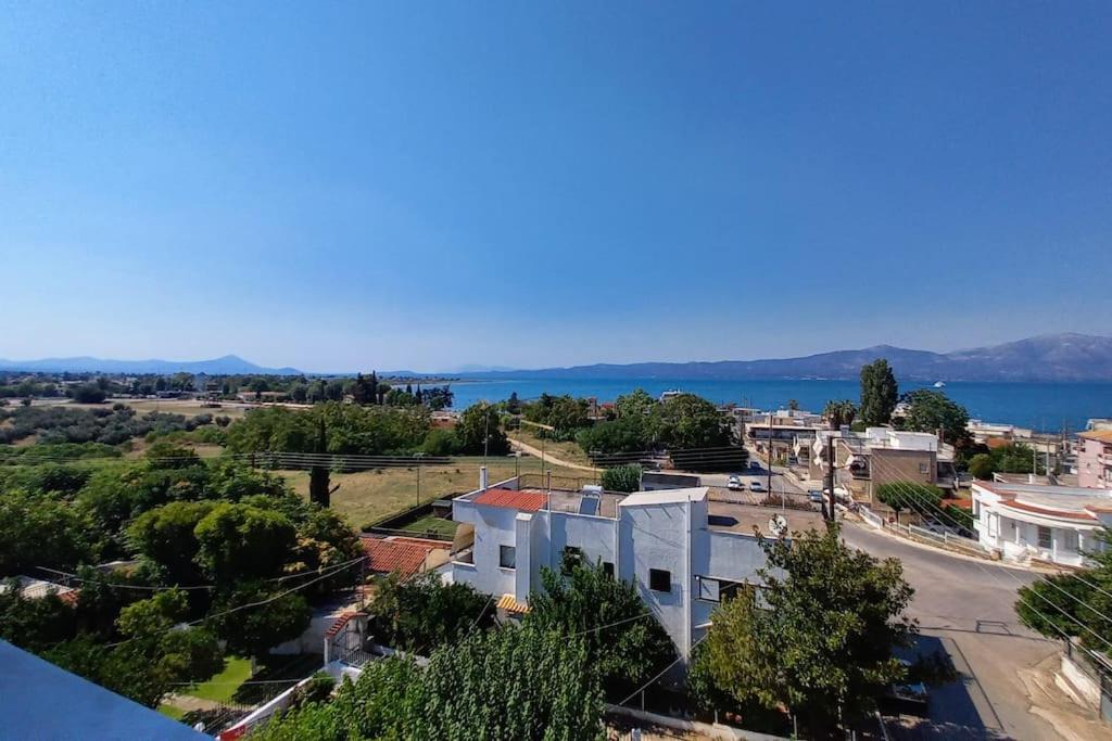 Photo of Others in Skala Oropou
