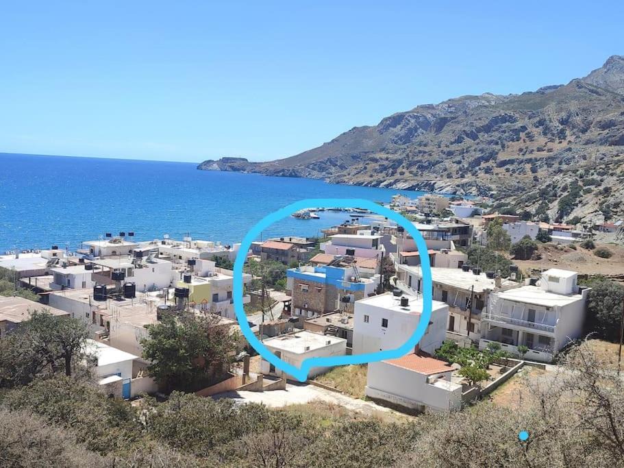 Photo of Others in Minoa Pediada