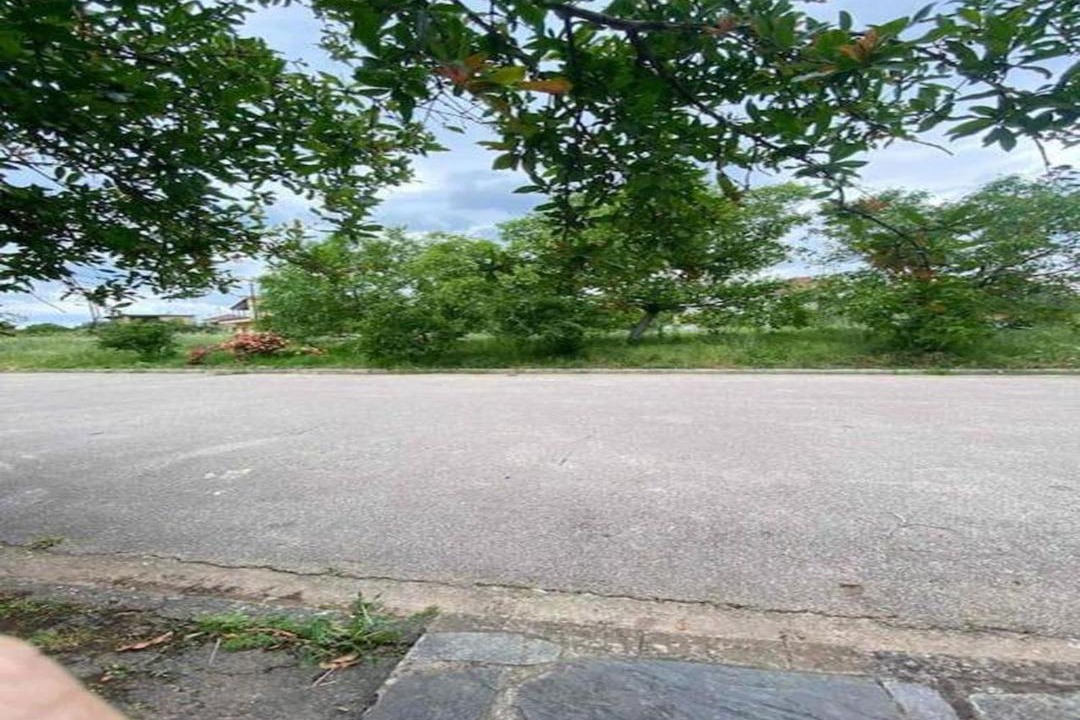 Photo of Others in Oichalia