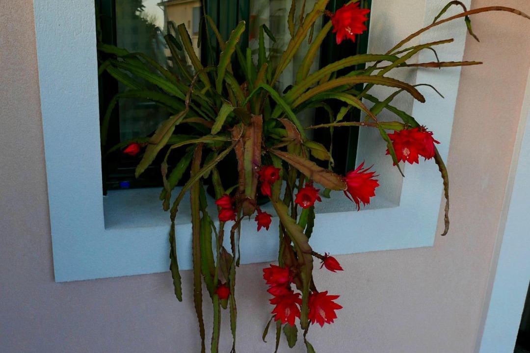 Photo of Others in Alexandroupoli