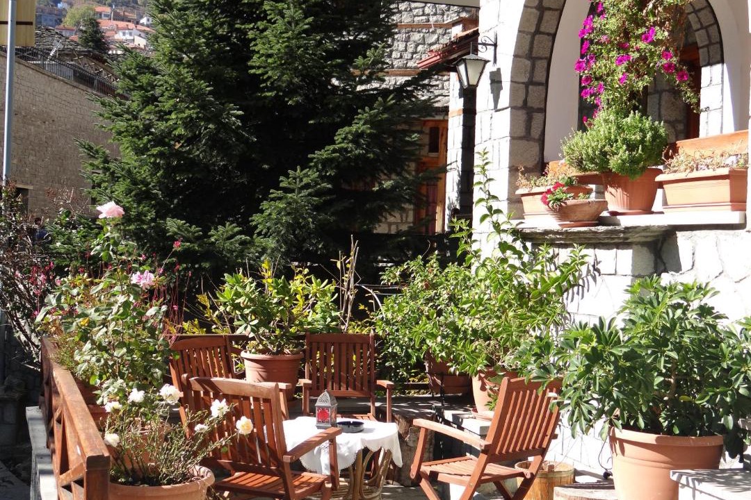Photo of Others in Metsovo