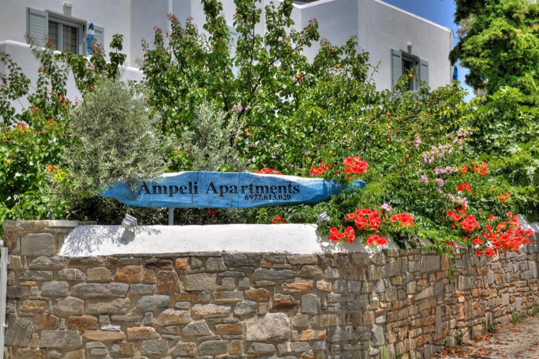 Photo of Others in Paros
