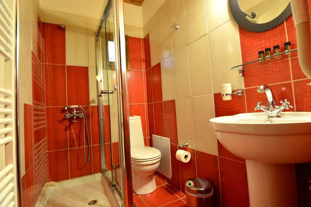 Photo of Bathroom in Synikia Mesi Trikalon