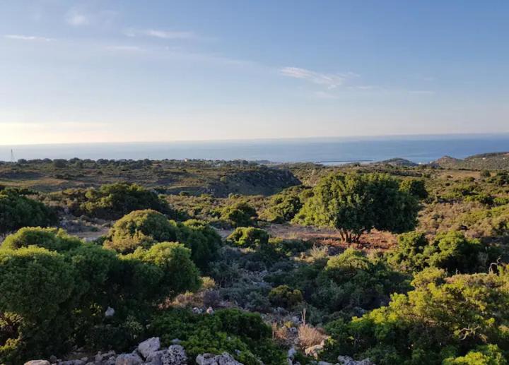 Photo of Outdoor in Somatas