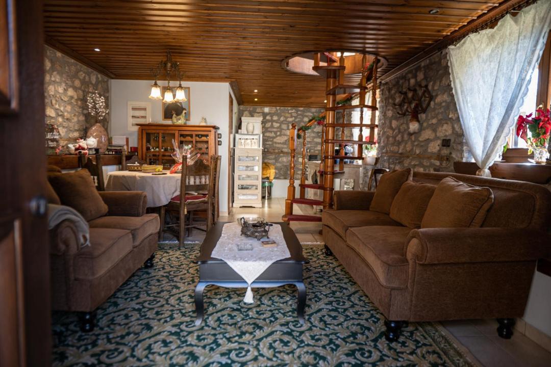 Photo of Livingroom in Karpenisi