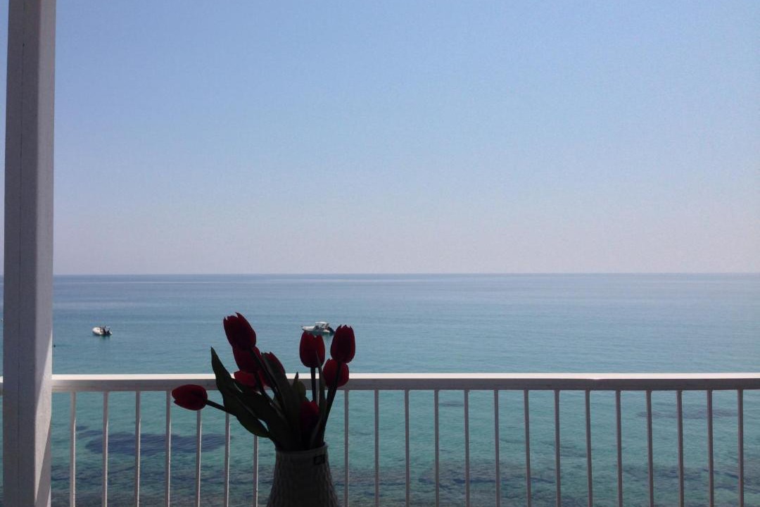 Photo of Patio Balcony in Mola Kalyva