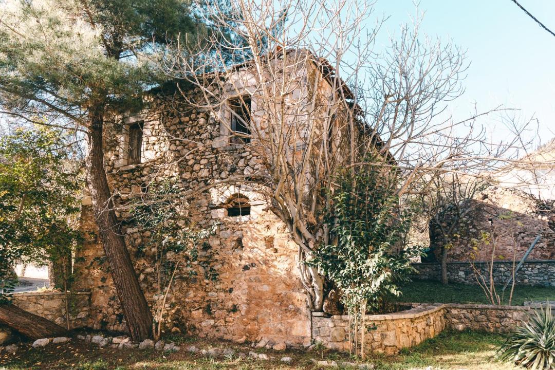 Photo of Others in Planiteron