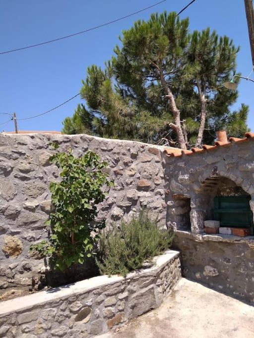Photo of Others in Eresos