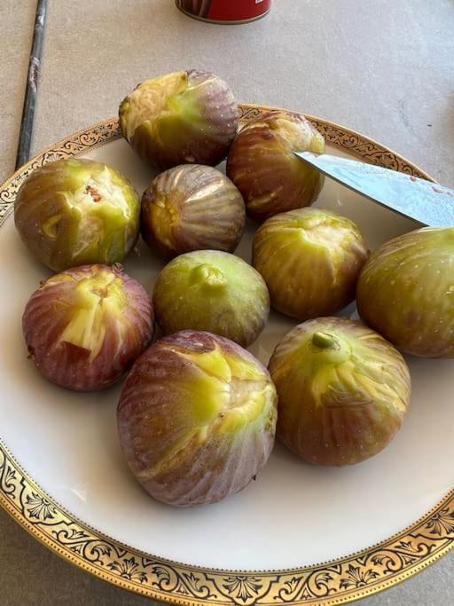 Photo of Livingroom in Mithimna